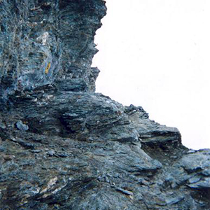 Varasc