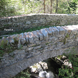 Varasc