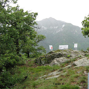 Varasc