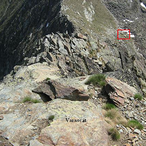Varasc