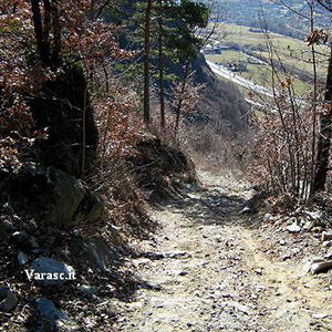 Varasc