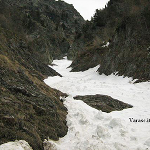 Varasc