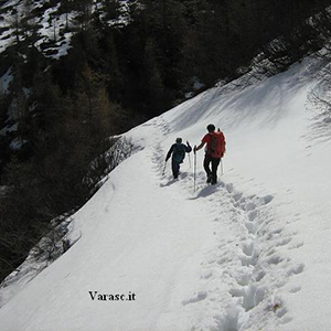 Varasc
