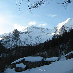 Varasc
