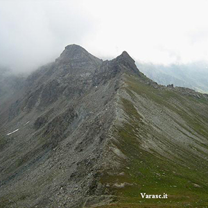 Varasc