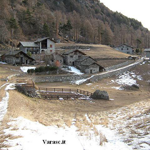 Varasc
