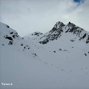 Varasc
