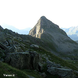 Varasc