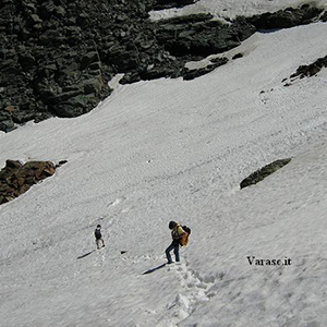 Varasc