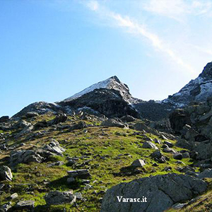 Varasc