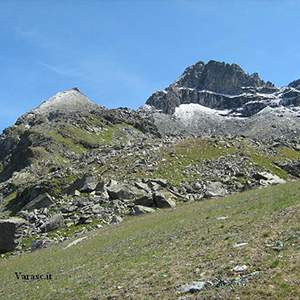 Varasc