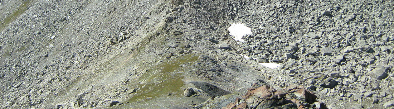 Varasc