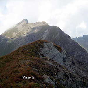 Varasc