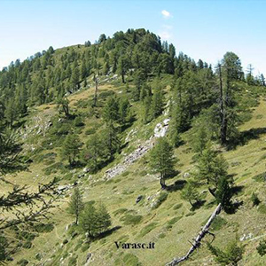 Varasc