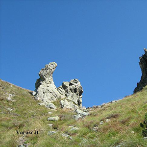 Varasc
