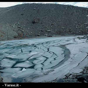 Varasc