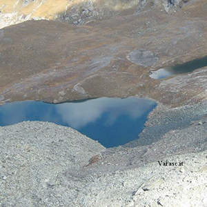Varasc