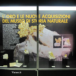 Varasc