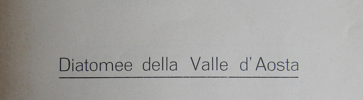 Varasc