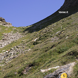 Varasc