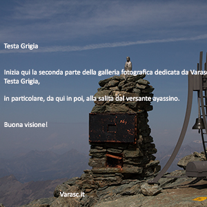 Varasc