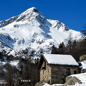 Varasc